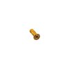 Jockey wheel bolts L17mm, M4x0,7x8 mm, gold, for Sram derailleur