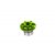 Bar End Plugs XC ygreen