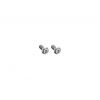 Torx bottle cage bolts, silver