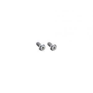 Torx bottle cage bolts, silver